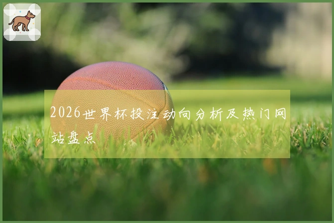 2026世界杯投注动向分析及热门网站盘点