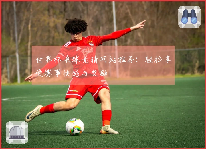 世界杯滚球竞猜网站推荐：轻松享受赛事快感与奖励