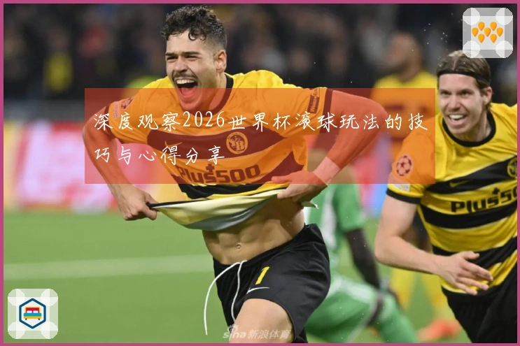 深度观察2026世界杯滚球玩法的技巧与心得分享