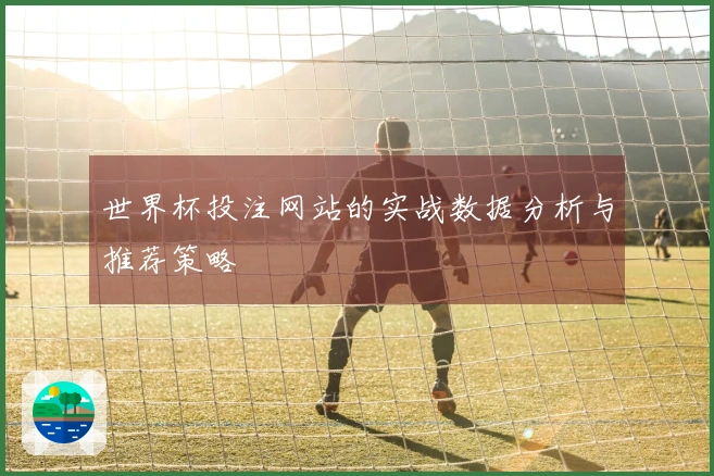世界杯投注网站的实战数据分析与推荐策略