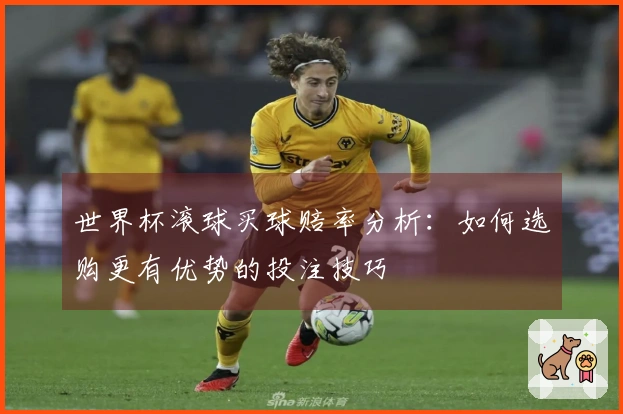 世界杯滚球买球赔率分析：如何选购更有优势的投注技巧