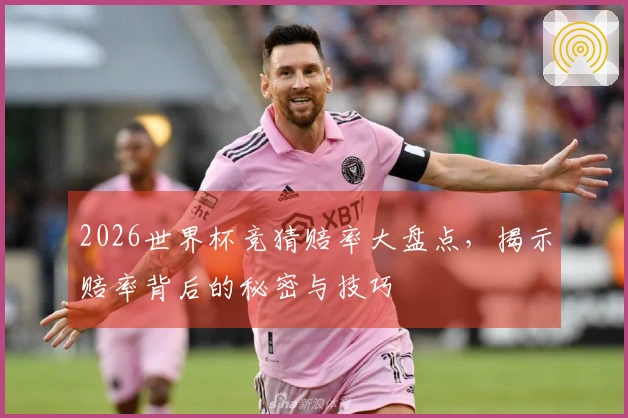 2026世界杯竞猜赔率大盘点，揭示赔率背后的秘密与技巧