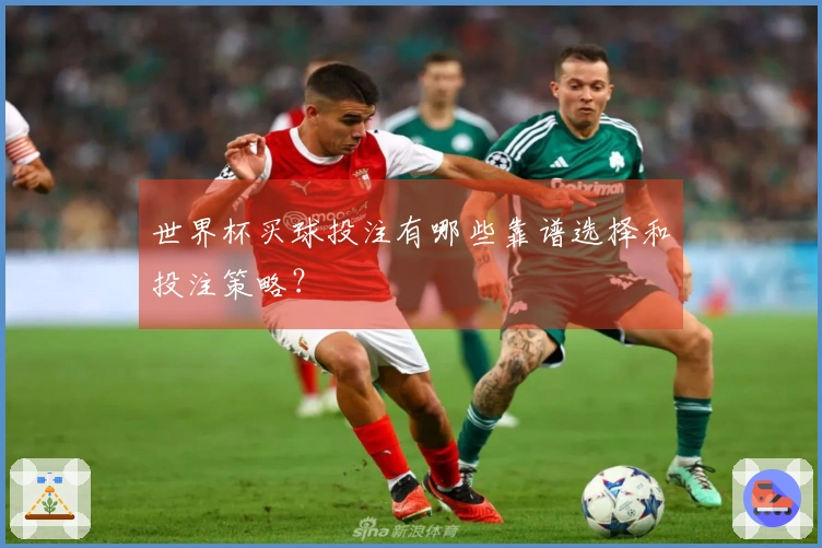 世界杯买球投注有哪些靠谱选择和投注策略？