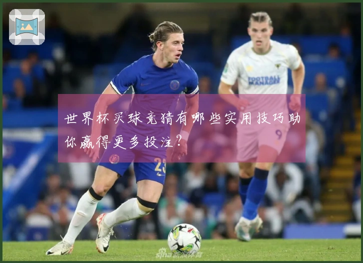 世界杯买球竞猜有哪些实用技巧助你赢得更多投注？