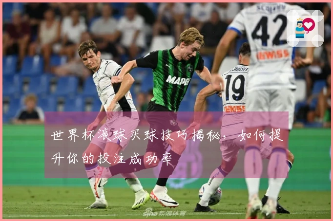 世界杯滚球买球技巧揭秘，如何提升你的投注成功率