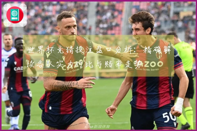 世界杯竞猜投注盘口分析：精确解读各队实力对比与赔率走势